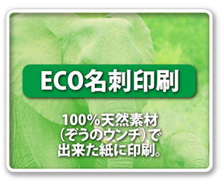 ECO名刺印刷